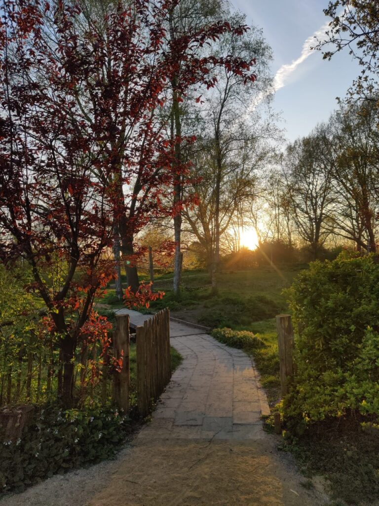 Herfst Natuurspeeltuin